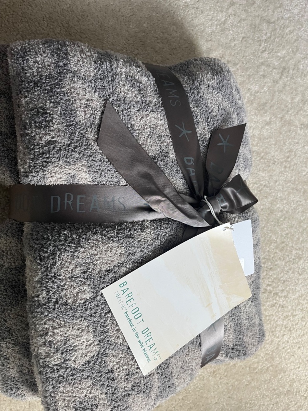 Barefoot Cozy Chic  Dreams Caught in the Wild Blanket NWT Linen/Warm Gray